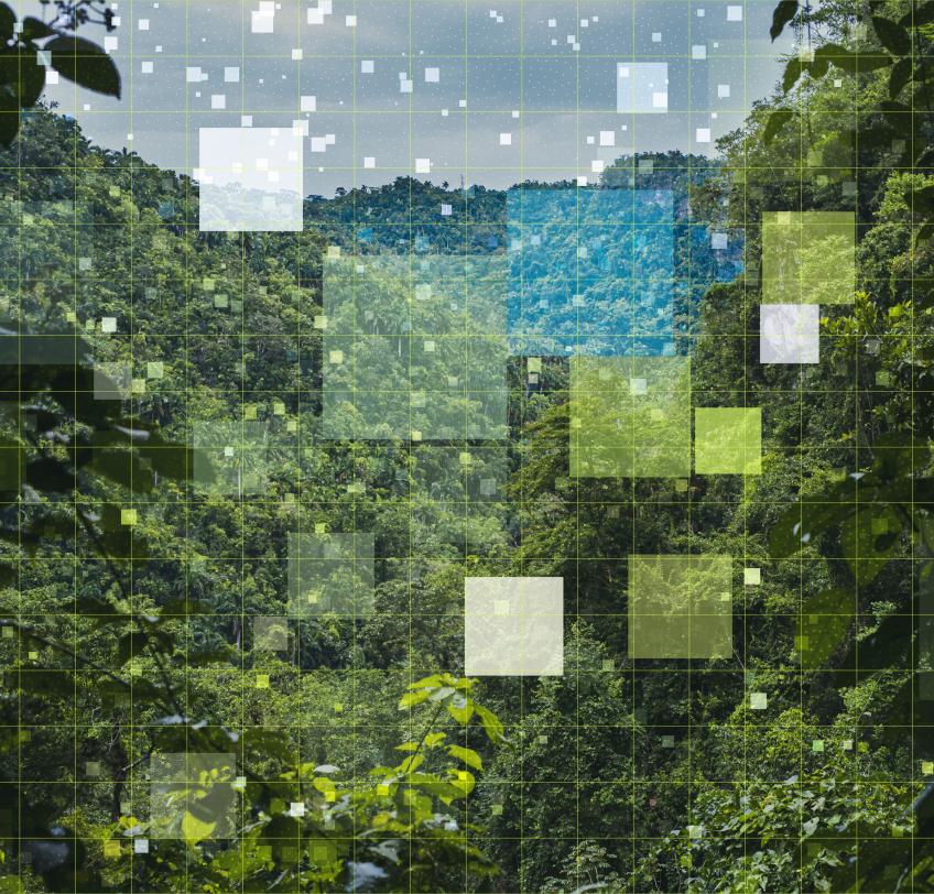 Taxonomie verte : comment investir dans la transition écologique ?
